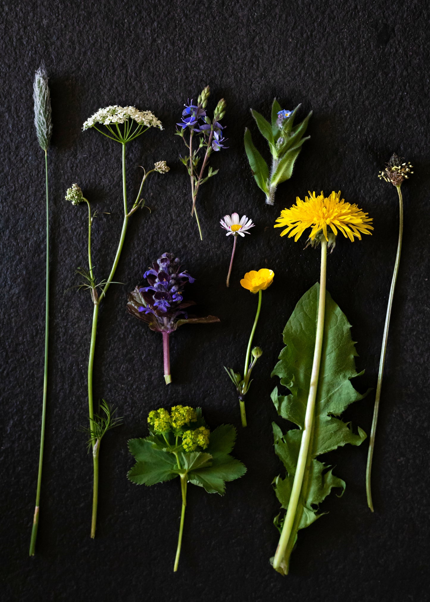Foraged from the Garden Workshop