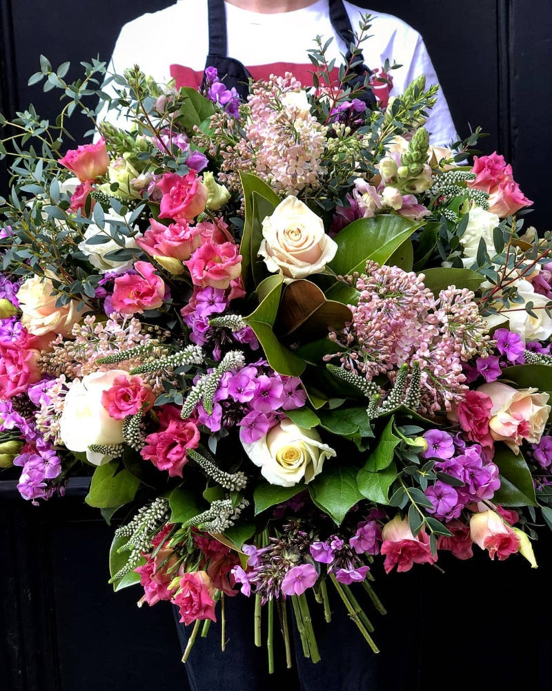 Mayfair *Pinks