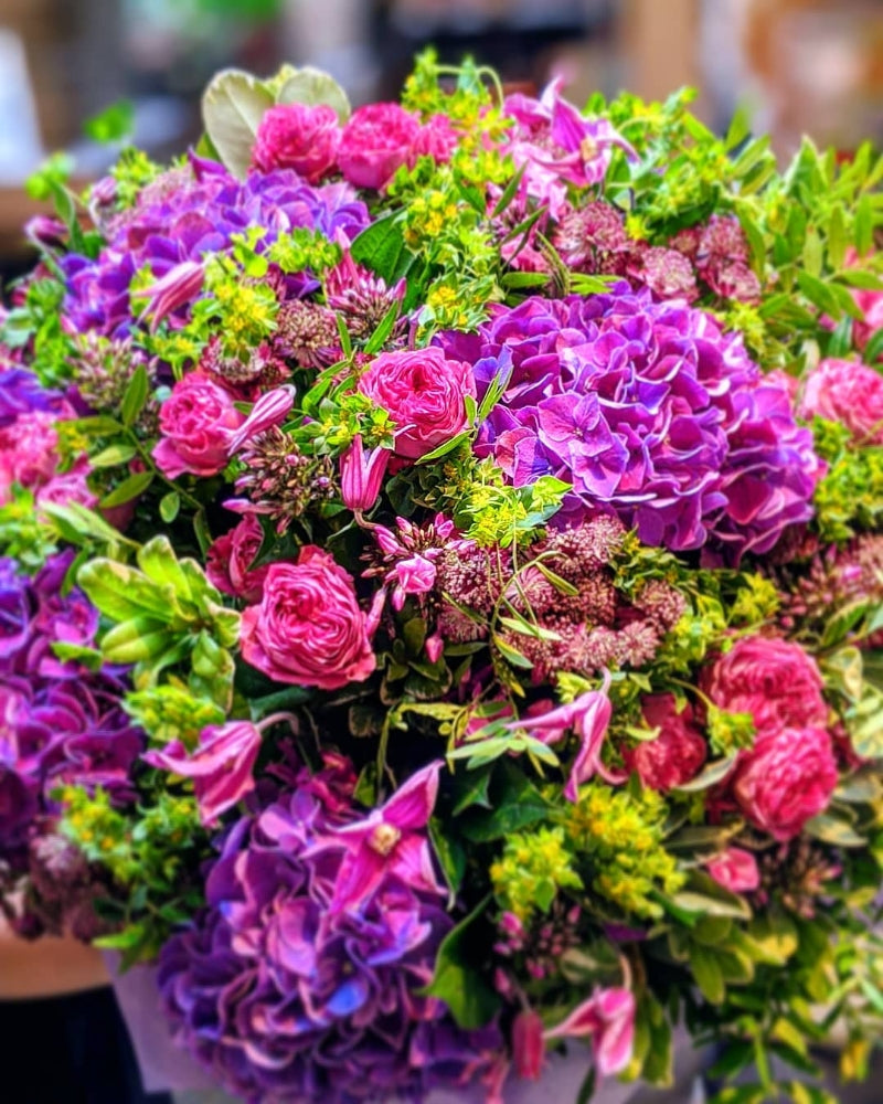 Mayfair *Pinks