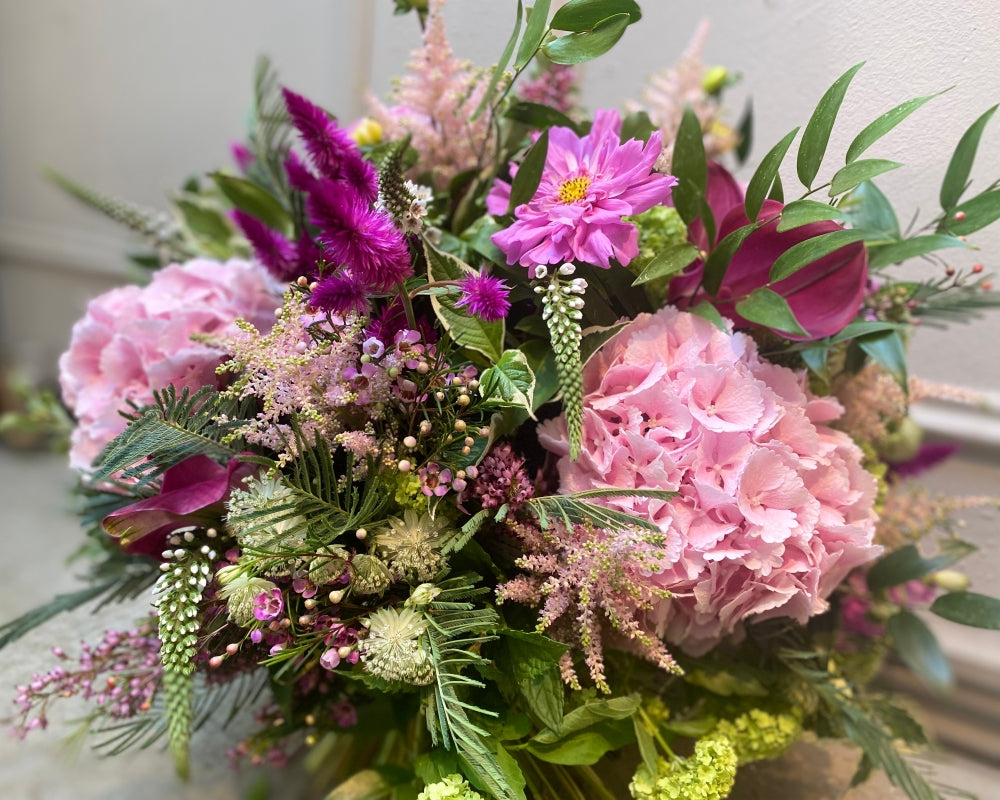 Mayfair *Pinks